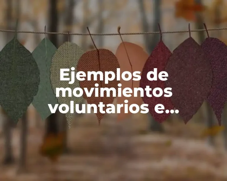 Ejemplos de movimientos voluntarios e involuntarios para niños de primaria