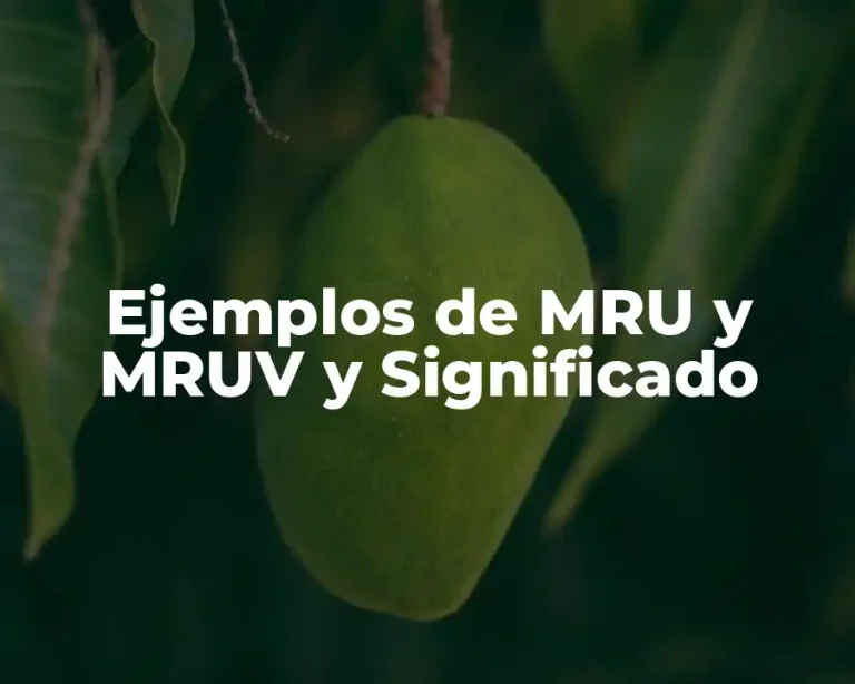 Ejemplos de MRU y MRUV y Significado