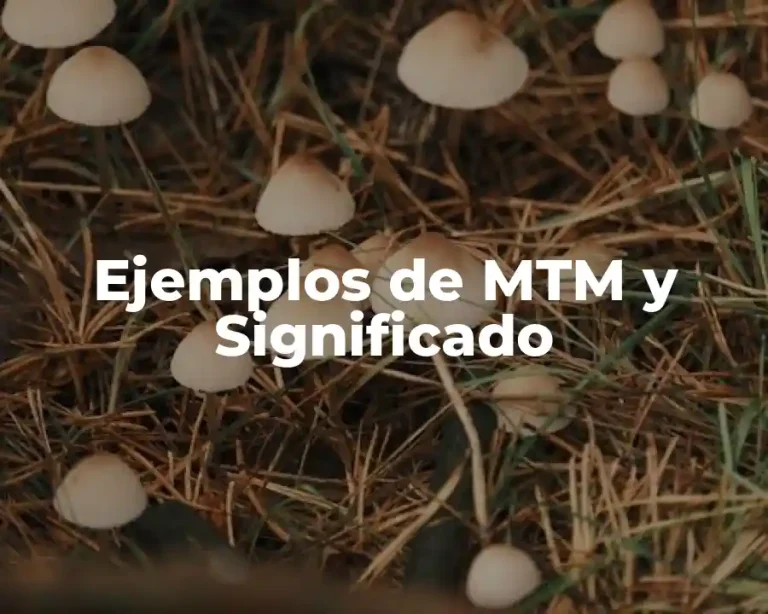 Ejemplos de MTM y Significado