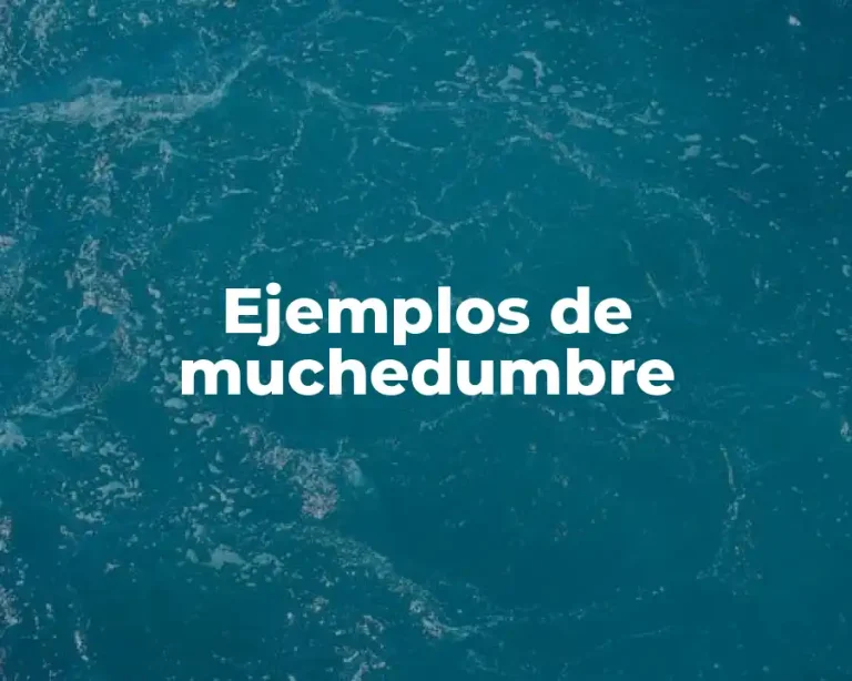 Ejemplos de muchedumbre