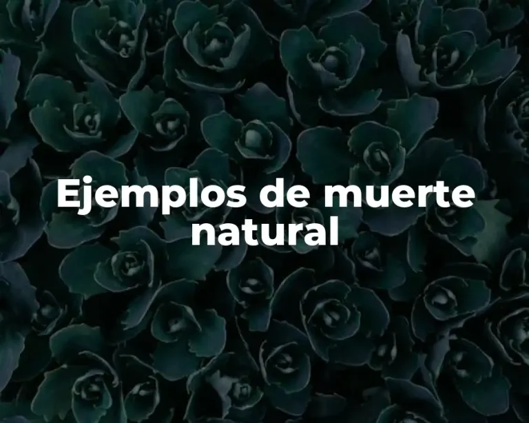 Ejemplos de muerte natural