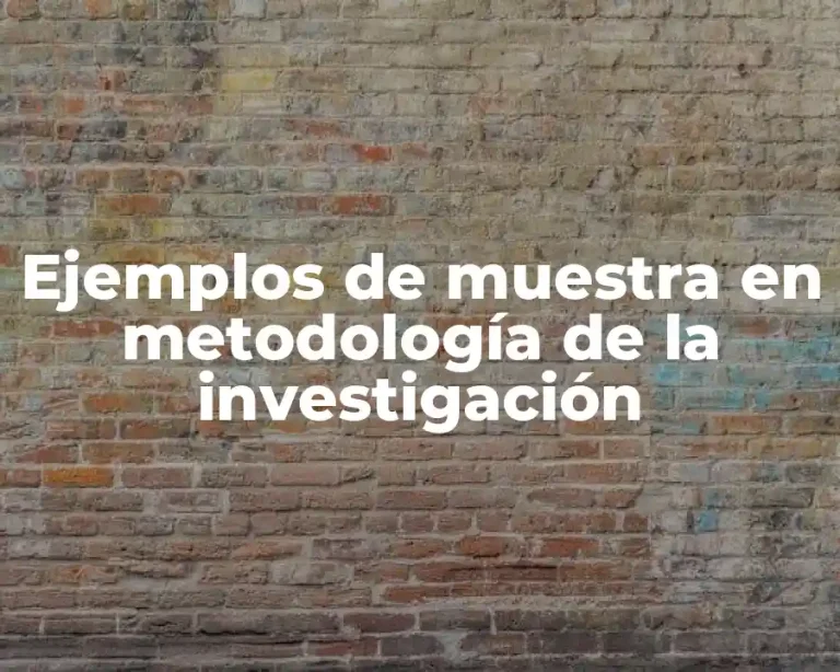 Ejemplos de muestra en metodología de la investigación