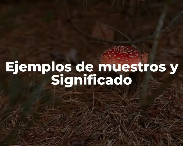 Ejemplos de muestros y Significado