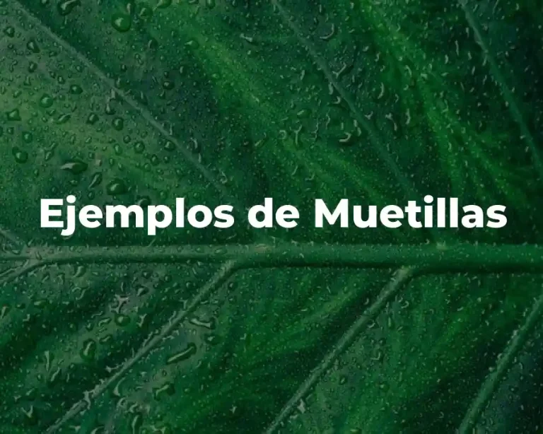 Ejemplos de Muetillas