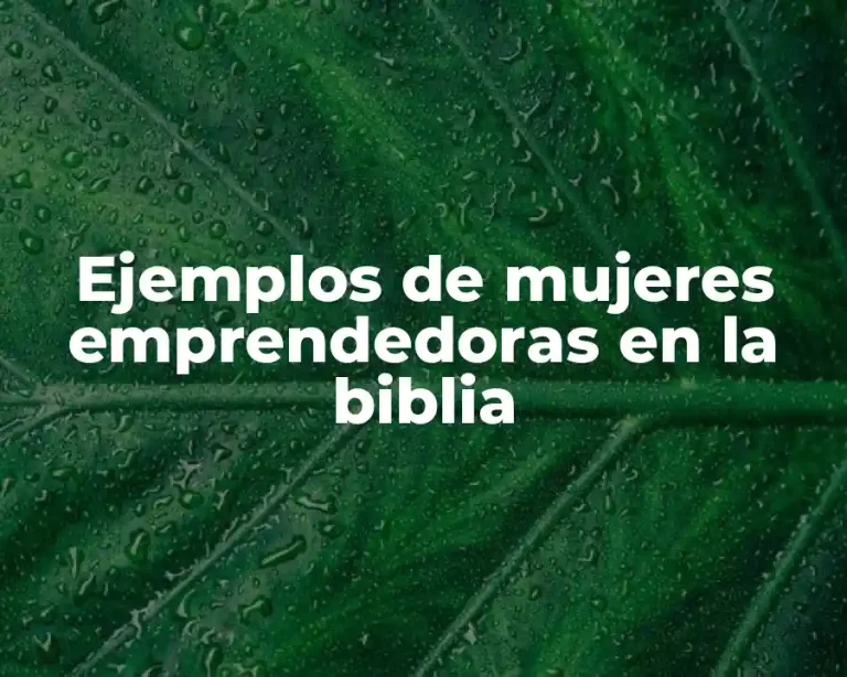 Ejemplos de mujeres emprendedoras en la biblia