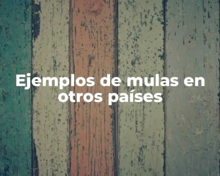 Ejemplos de mulas en otros países