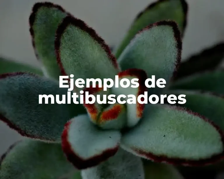 Ejemplos de multibuscadores