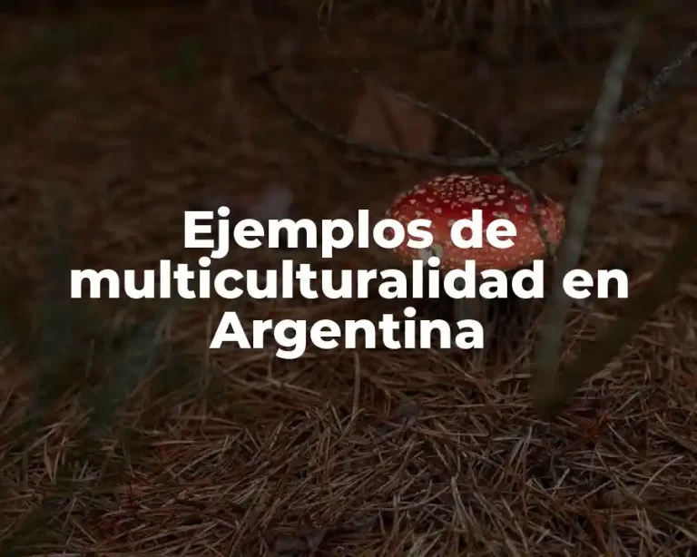 Ejemplos de multiculturalidad en Argentina