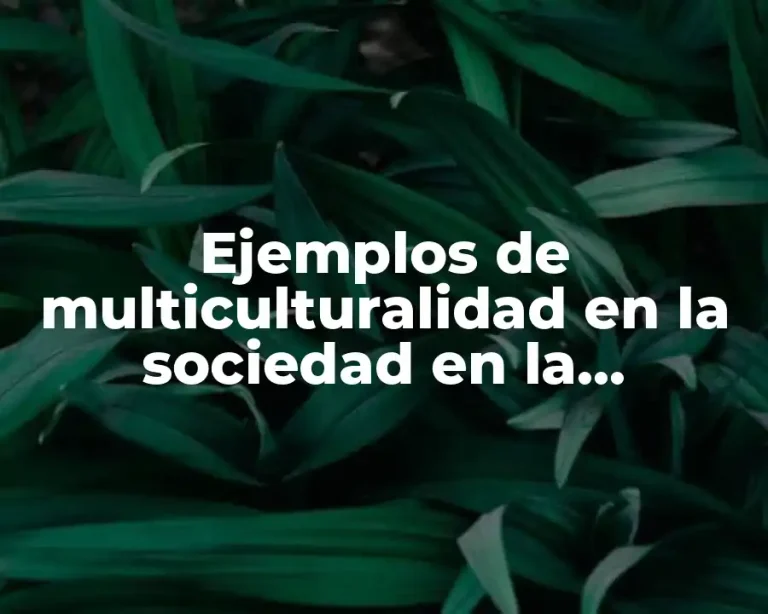 Ejemplos de multiculturalidad en la sociedad en la actualidad México