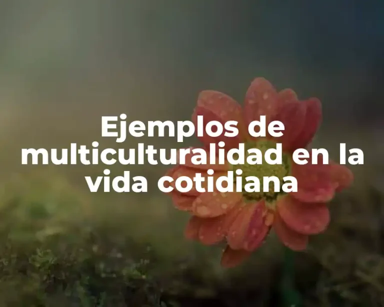 Ejemplos de multiculturalidad en la vida cotidiana