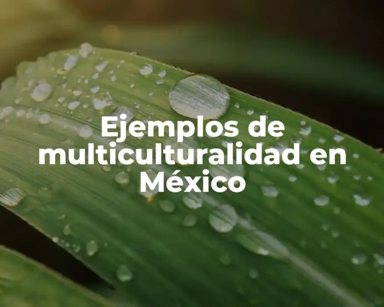 Ejemplos de multiculturalidad en México