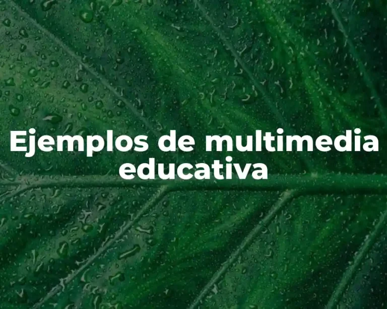 Ejemplos de multimedia educativa