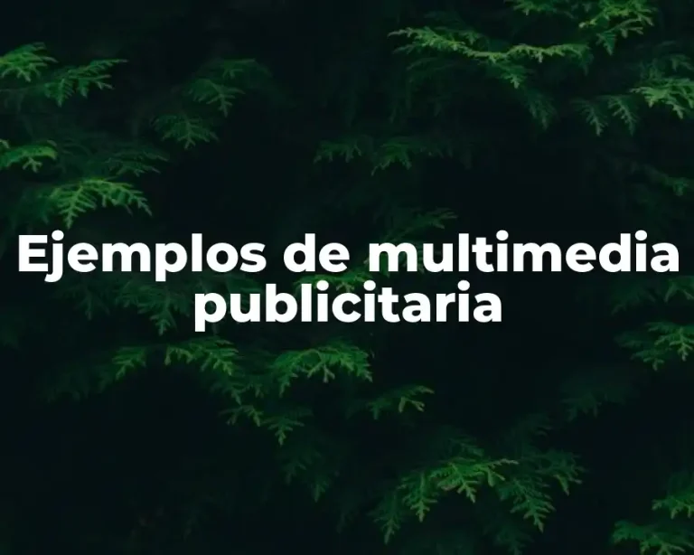 Ejemplos de multimedia publicitaria
