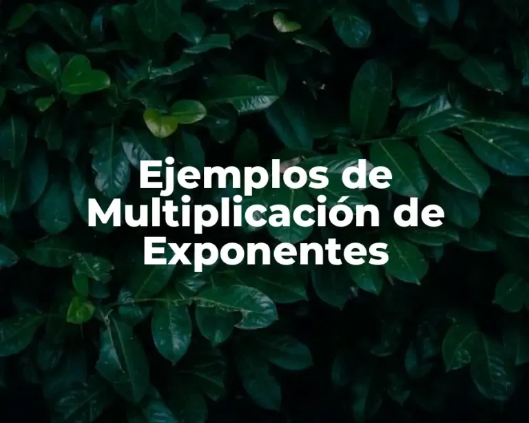 Ejemplos de Multiplicación de Exponentes