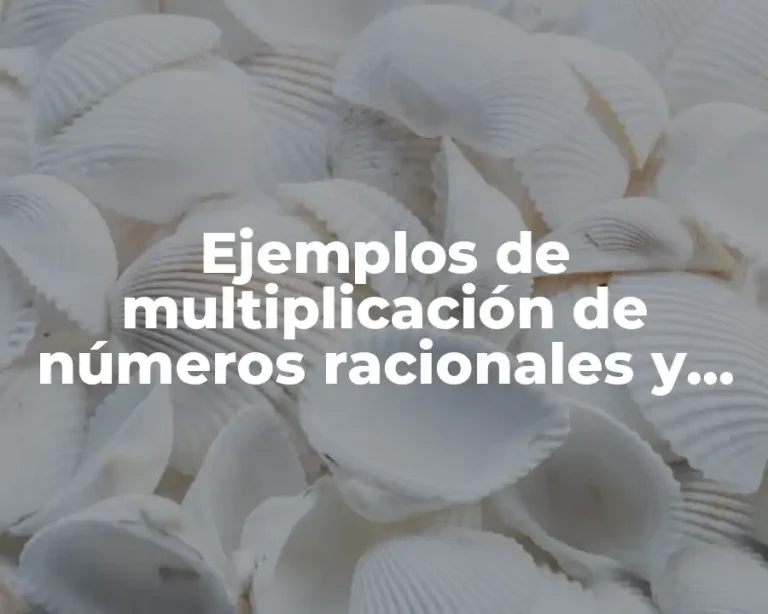 Ejemplos de multiplicación de números racionales y Significado
