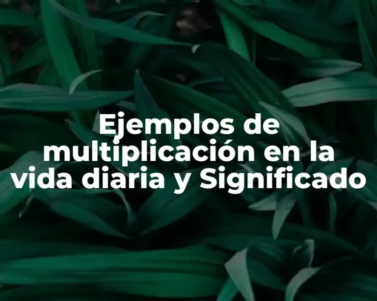 Ejemplos de multiplicación en la vida diaria y Significado