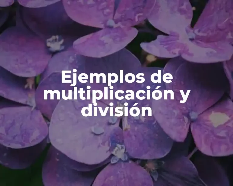 Ejemplos de multiplicación y división
