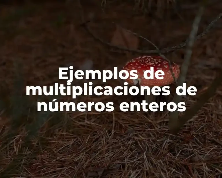 Ejemplos de multiplicaciones de números enteros