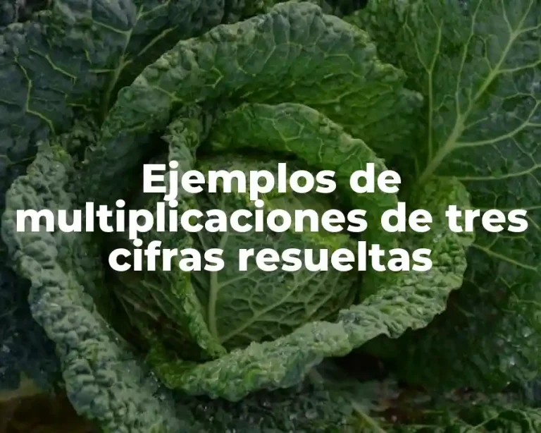 Ejemplos de multiplicaciones de tres cifras resueltas