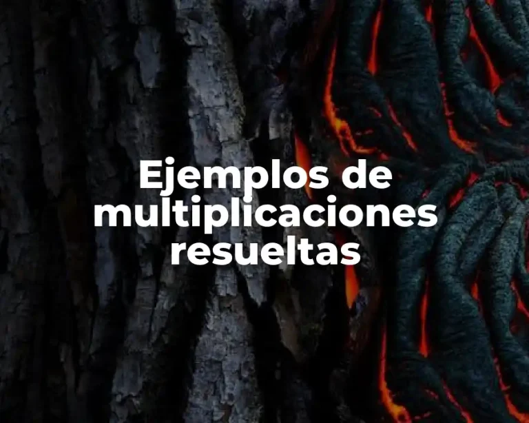 Ejemplos de multiplicaciones resueltas