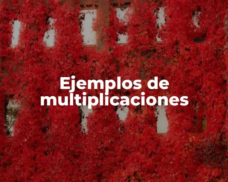 Ejemplos de multiplicaciones