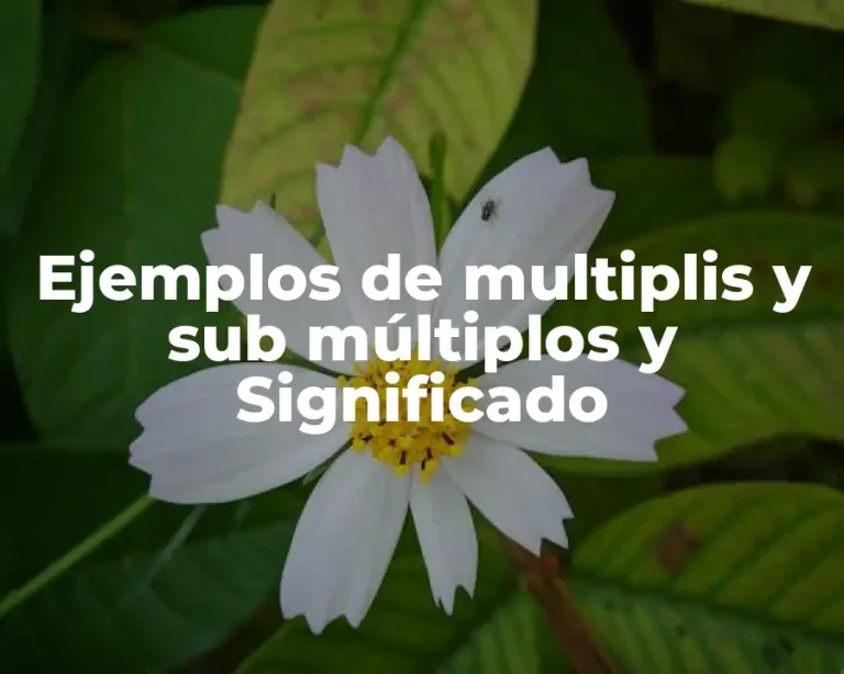 Ejemplos de multiplis y sub múltiplos y Significado
