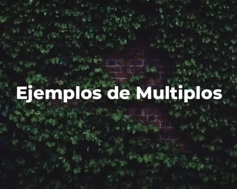 Ejemplos de Multiplos