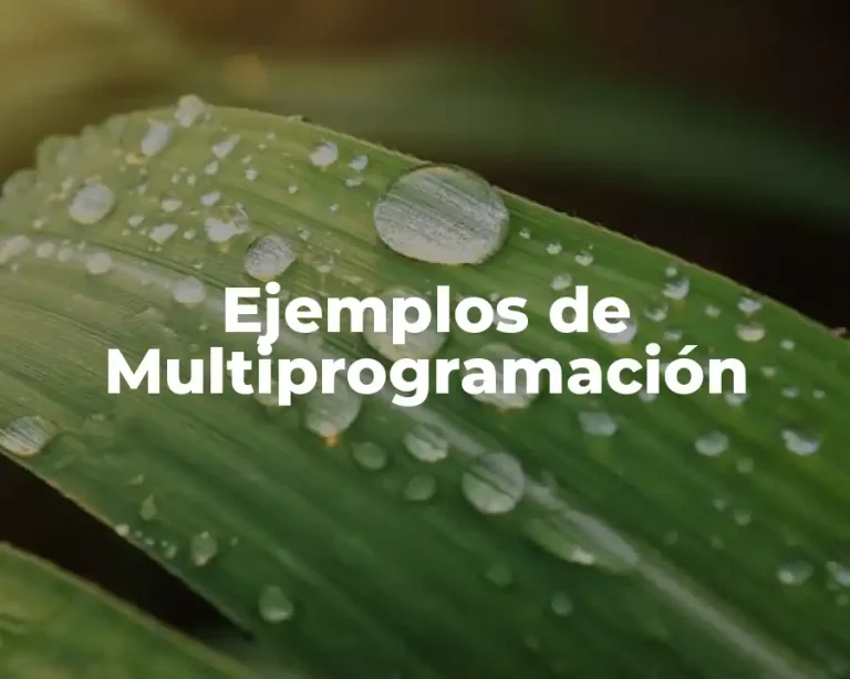 Ejemplos de Multiprogramación