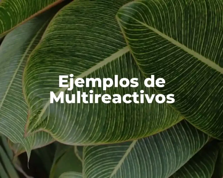 Ejemplos de Multireactivos