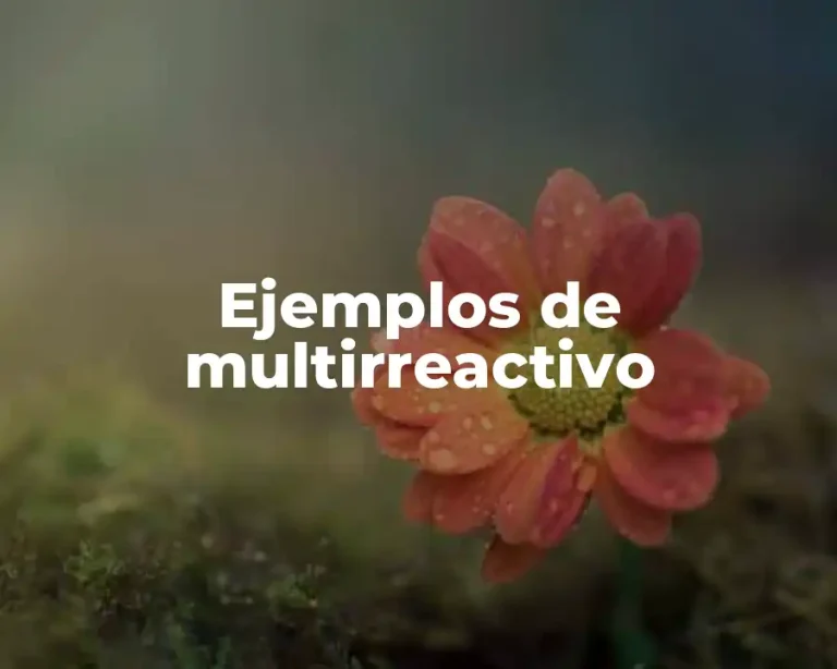 Ejemplos de multirreactivo