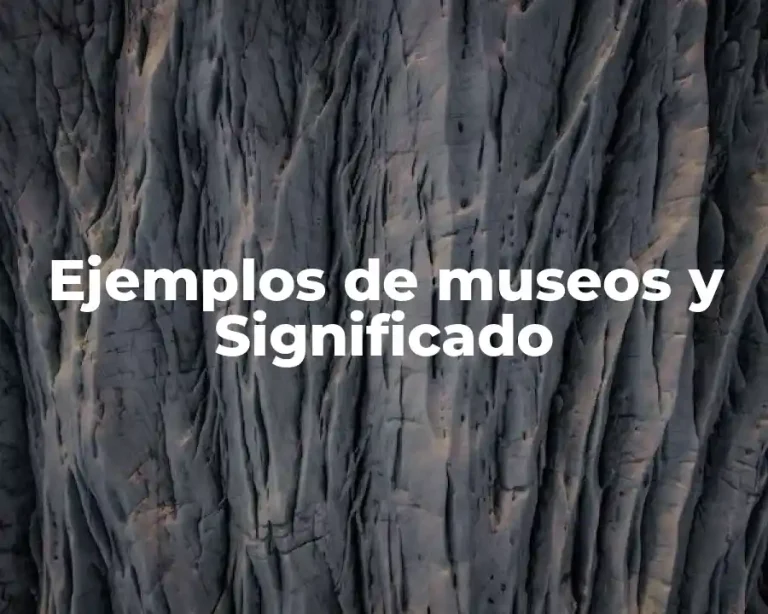 Ejemplos de museos y Significado