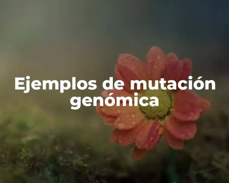 Ejemplos de mutación genómica