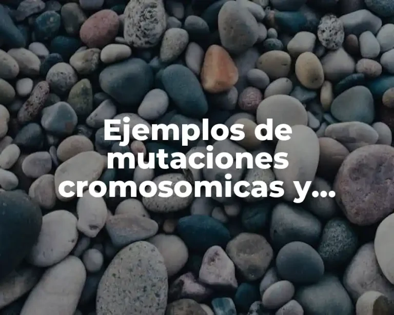 Ejemplos de mutaciones cromosomicas y Significado