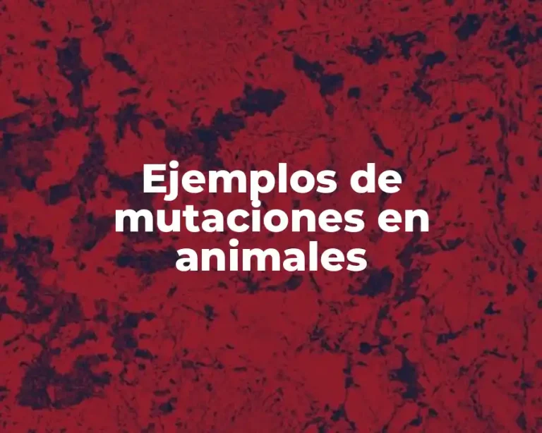 Ejemplos de mutaciones en animales