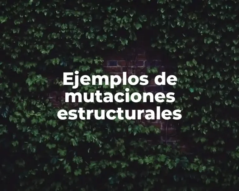Ejemplos de mutaciones estructurales