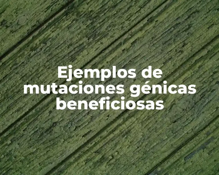 Ejemplos de mutaciones génicas beneficiosas