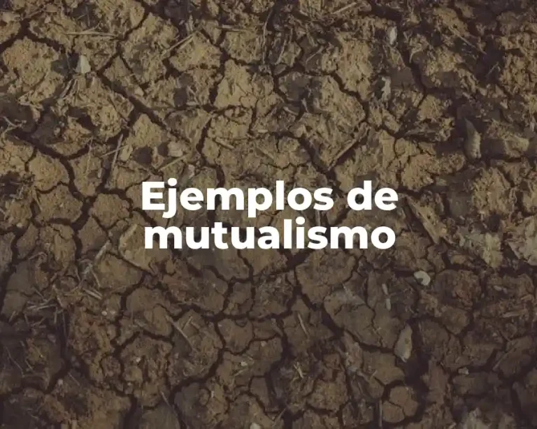 Ejemplos de mutualismo