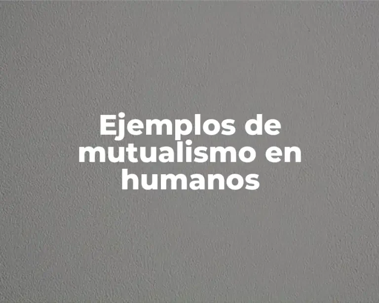 Ejemplos de mutualismo en humanos