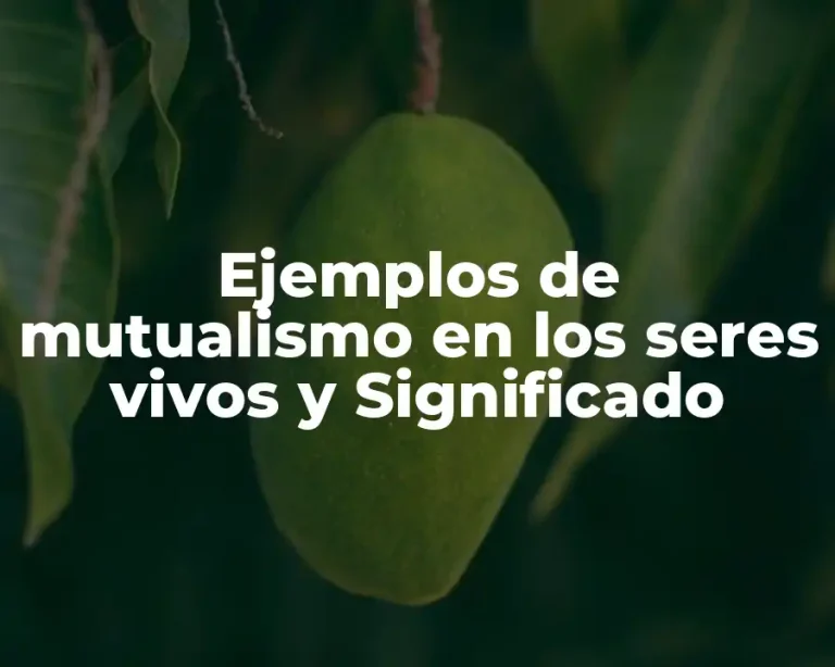 Ejemplos de mutualismo en los seres vivos y Significado