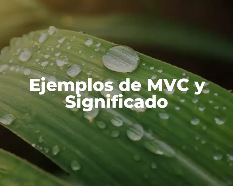Ejemplos de MVC y Significado
