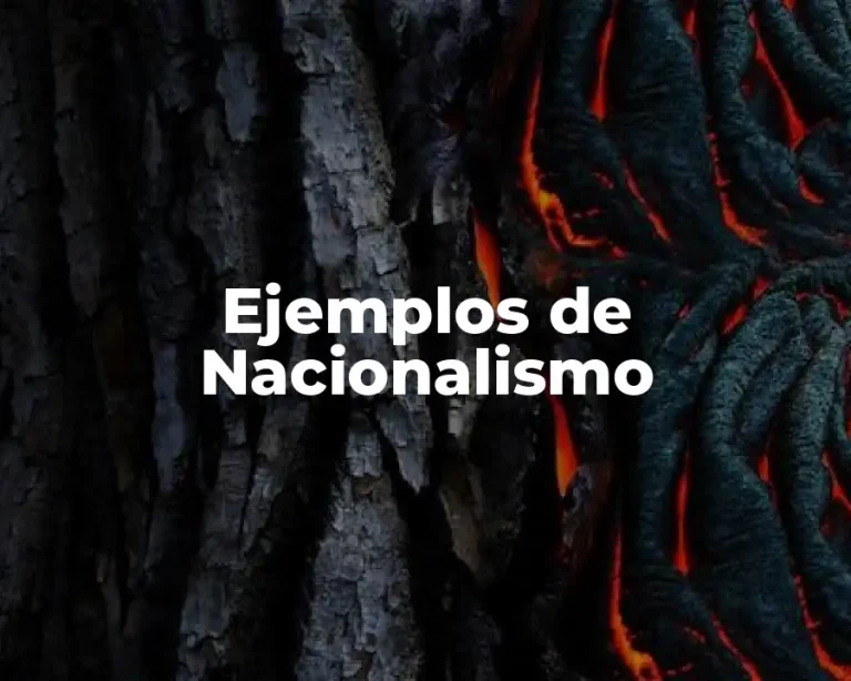 Ejemplos de Nacionalismo