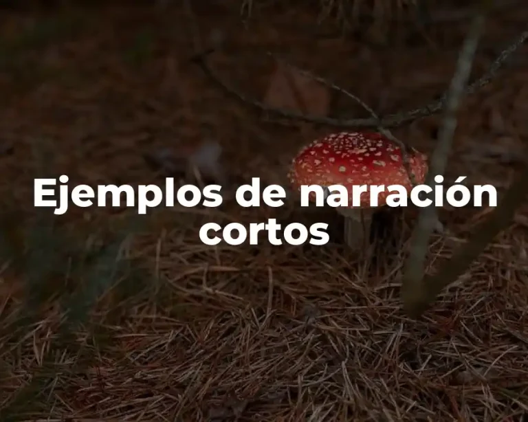 Ejemplos de narración cortos