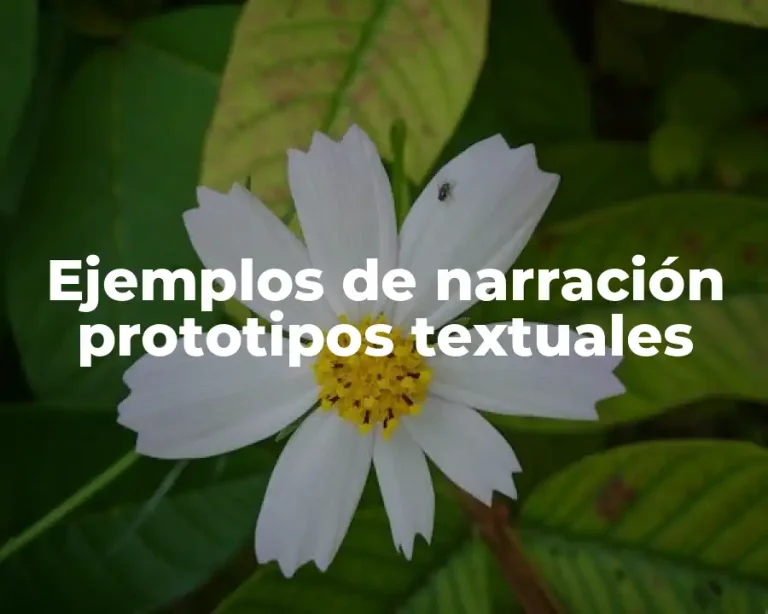 Ejemplos de narración prototipos textuales