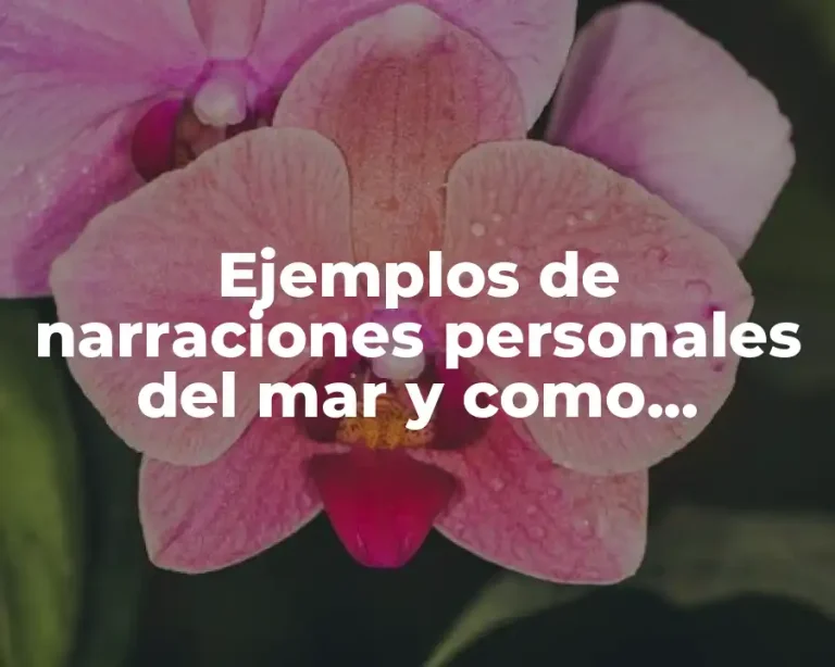 Ejemplos de narraciones personales del mar y como podemos cuidarlo