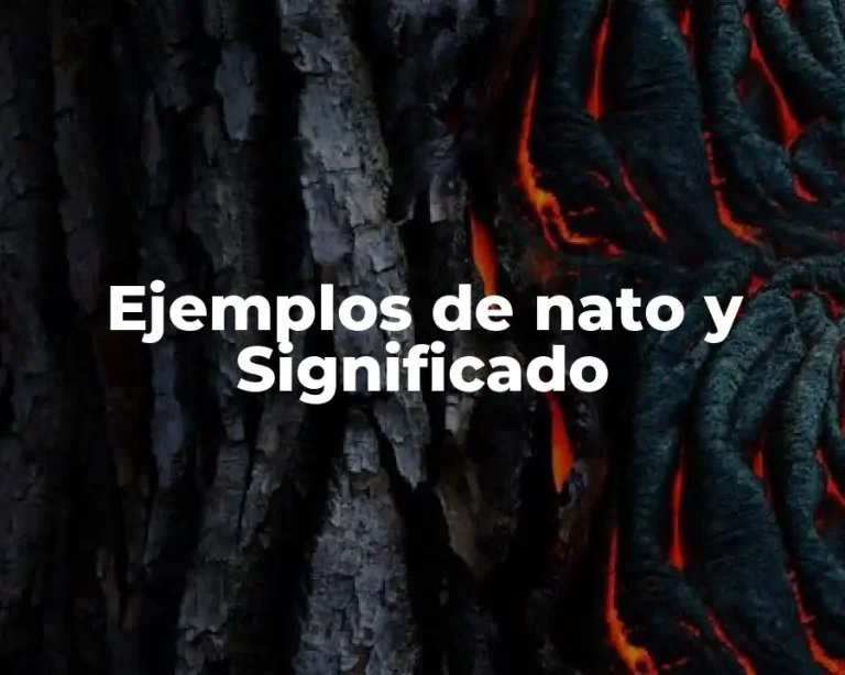 Ejemplos de nato y Significado