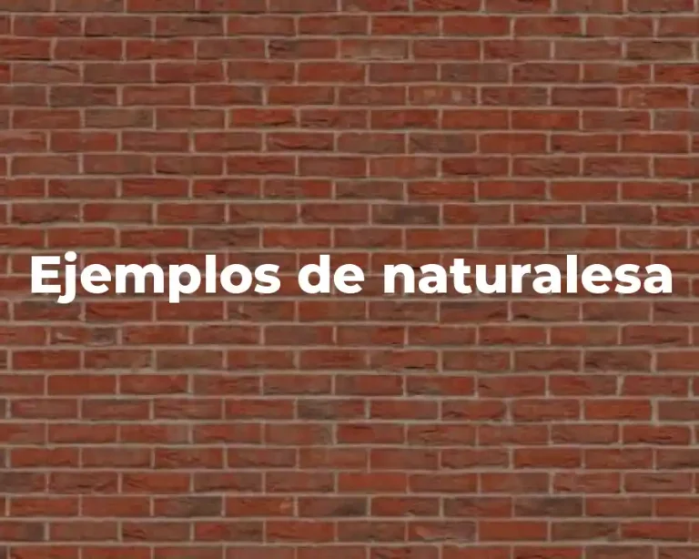 Ejemplos de naturalesa