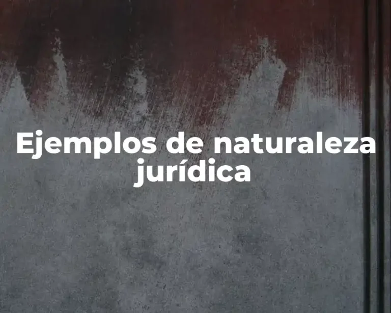 Ejemplos de naturaleza jurídica