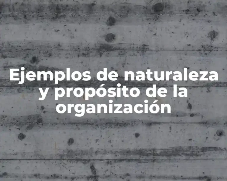 Ejemplos de naturaleza y propósito de la organización