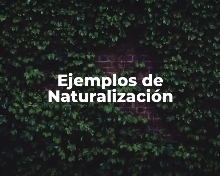 Ejemplos de Naturalización