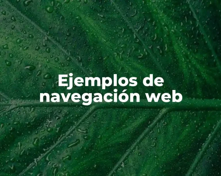 Ejemplos de navegación web